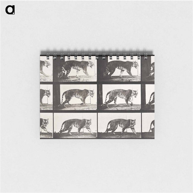 アートメモ帳-Animal Locomotion Plate 729
 - エドワード マイブリッジ Memo.