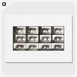 2-65_Eadweard-Muybridge_picture