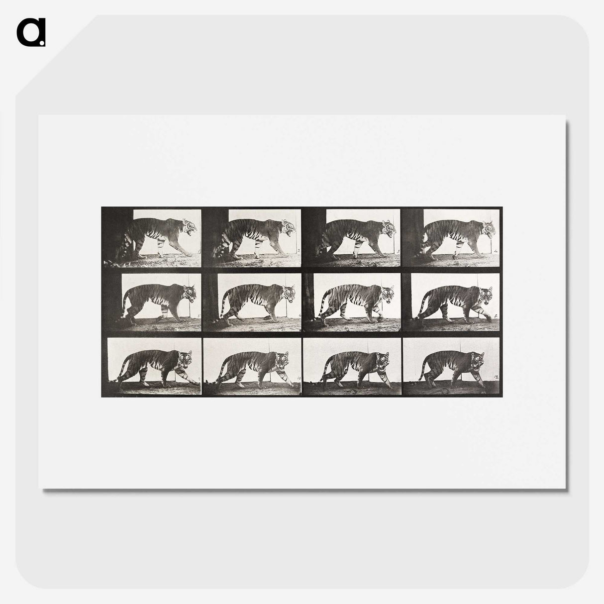 2-65_Eadweard-Muybridge_picture