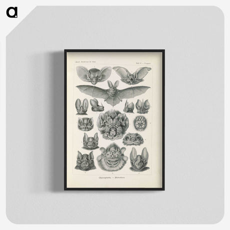 2-65_Ernst-Haeckel_blk-crop