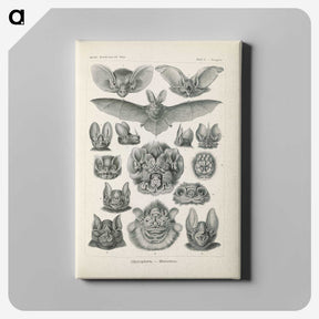 2-65_Ernst-Haeckel_canvas