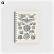 2-65_Ernst-Haeckel_memo