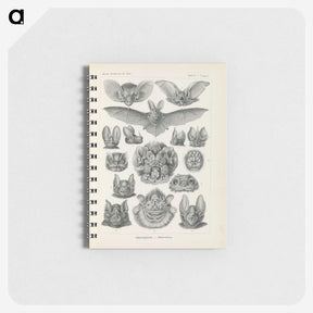 2-65_Ernst-Haeckel_memo