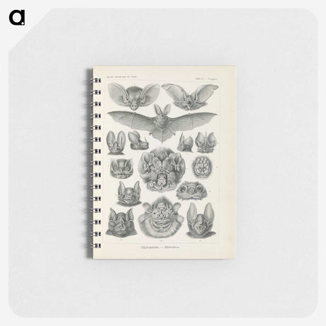 2-65_Ernst-Haeckel_memo