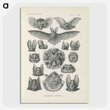 2-65_Ernst-Haeckel_picture-crop