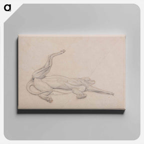 アートパネル-Tiger, Recumbent
 - ジョージ スタッブス Canvas.