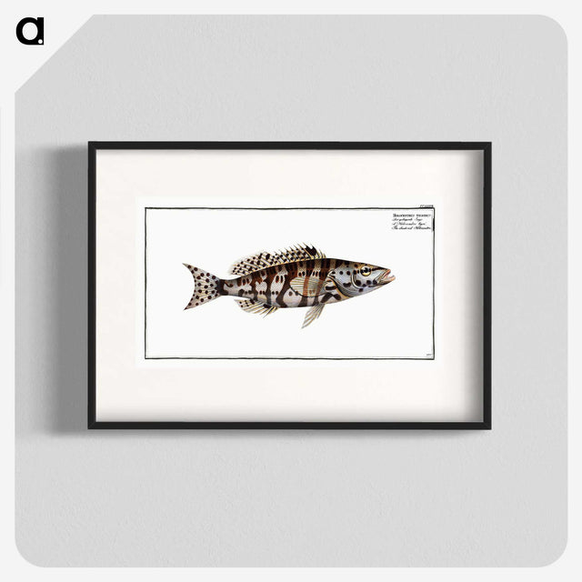 2-65_Ichtyologie-ou-Histoire-naturelle_blk