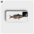 2-65_Ichtyologie-ou-Histoire-naturelle_phone