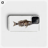 2-65_Ichtyologie-ou-Histoire-naturelle_phone
