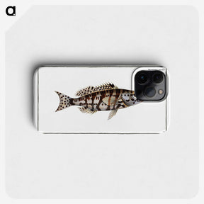 2-65_Ichtyologie-ou-Histoire-naturelle_phone