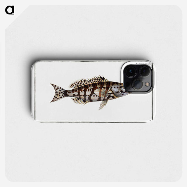 2-65_Ichtyologie-ou-Histoire-naturelle_phone