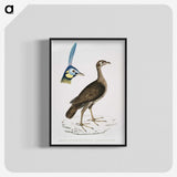 2-65_Indian-Zoology_blk-crop