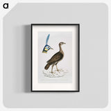 2-65_Indian-Zoology_blk