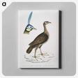 2-65_Indian-Zoology_canvas