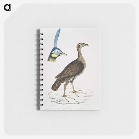 2-65_Indian-Zoology_memo
