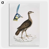 2-65_Indian-Zoology_picture-crop