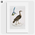 2-65_Indian-Zoology_picture
