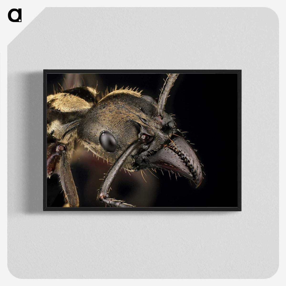 2-65_Insects-Unlocked-Project_blk-crop