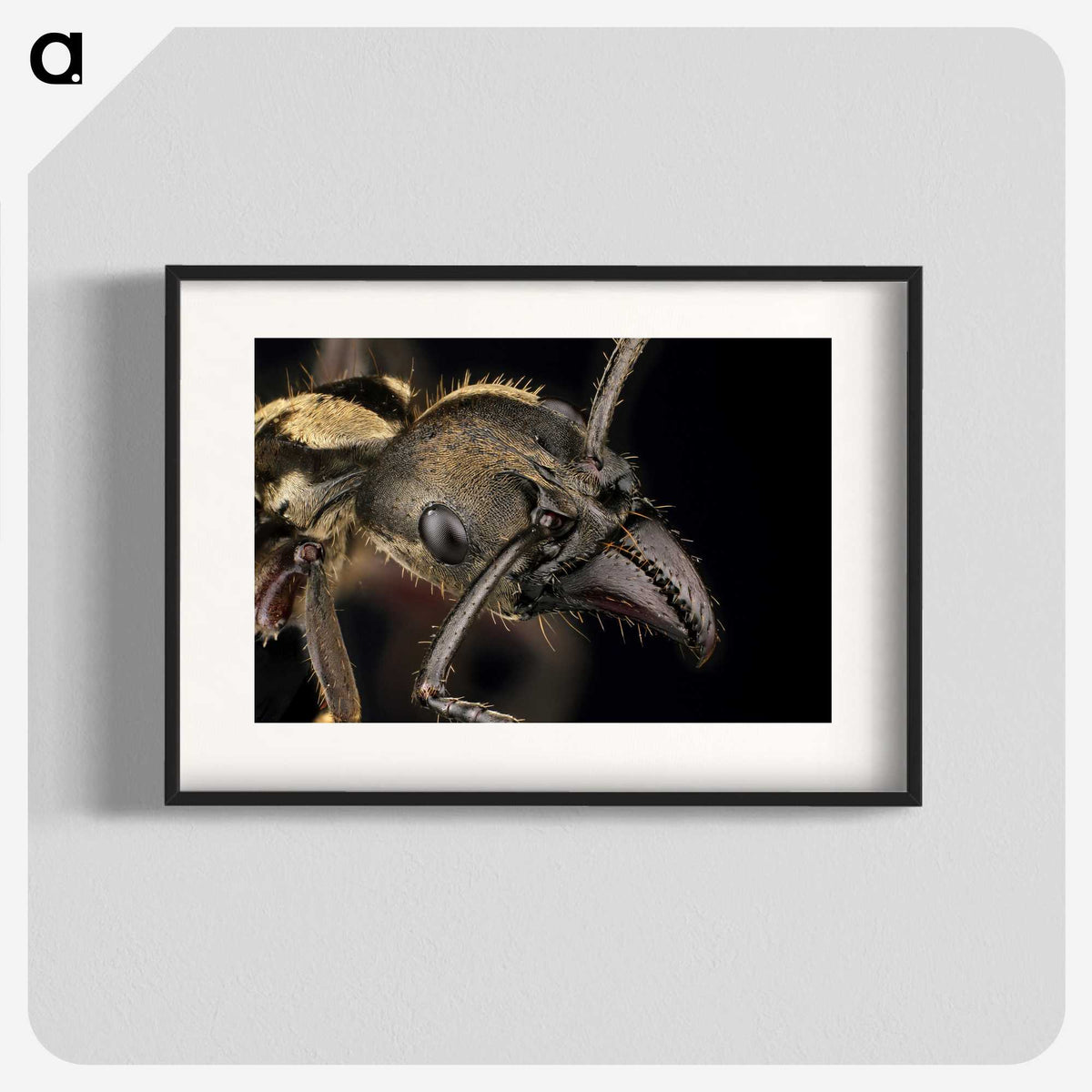 2-65_Insects-Unlocked-Project_blk
