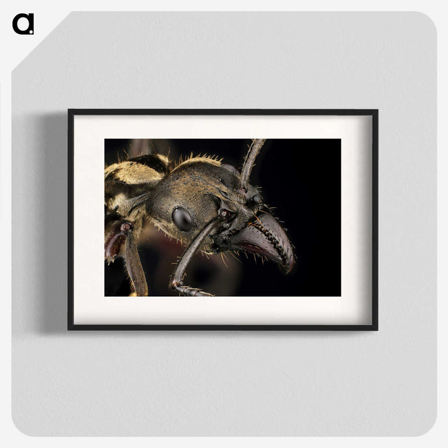 2-65_Insects-Unlocked-Project_blk