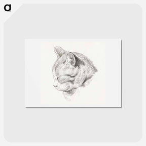 アートポストカード-Sketch of a cat - ジャン ベルナール Postcard.