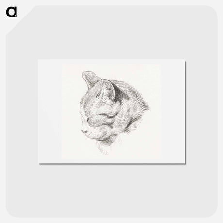 アートポストカード-Sketch of a cat - ジャン ベルナール Postcard.