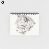 Sketch of a cat - ジャン ベルナール Memo.