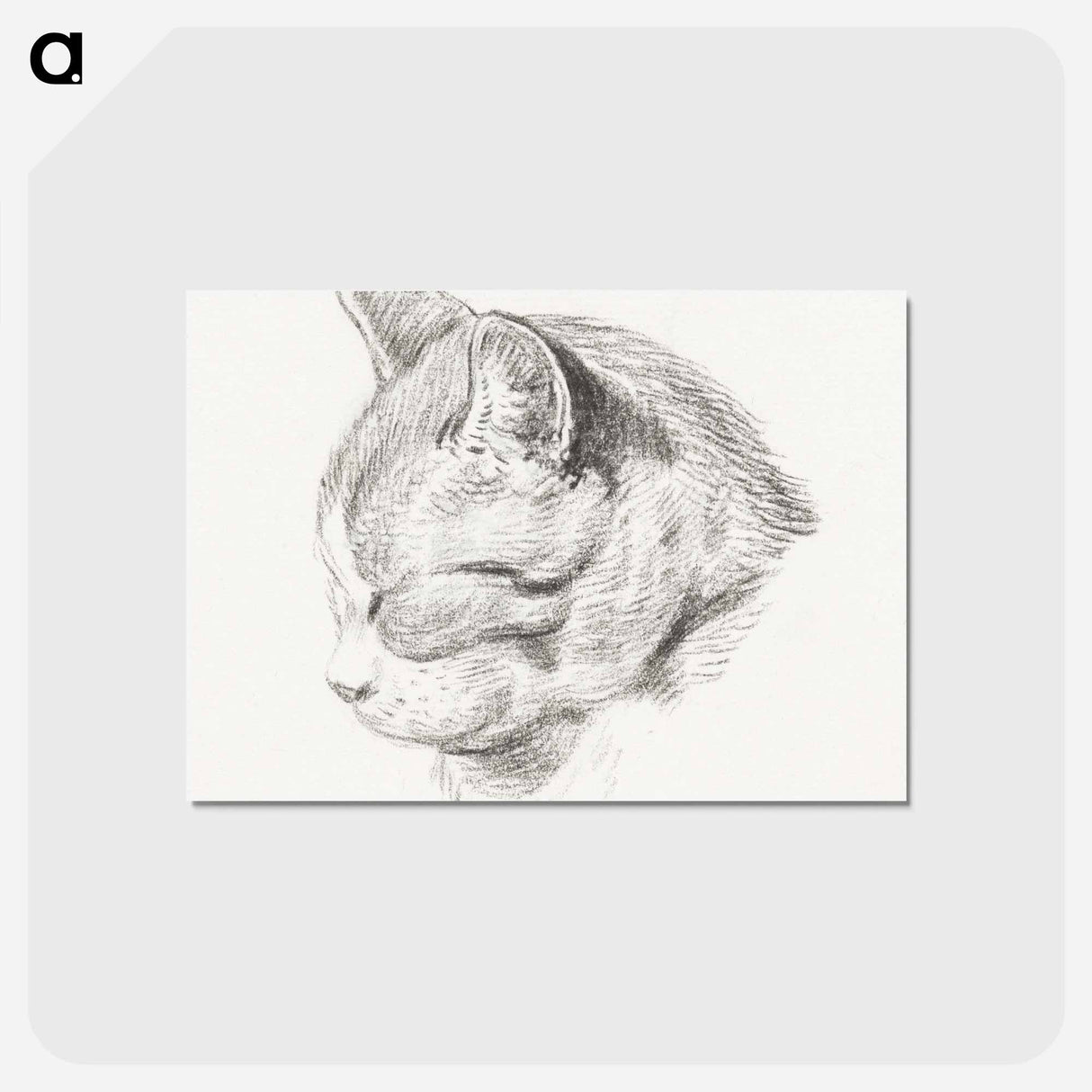 アートポストカード-Sketch of a cat - ジャン ベルナール Postcard.