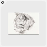 アートポストカード-Sketch of a cat - ジャン ベルナール Postcard.