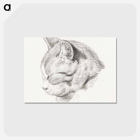 アートポストカード-Sketch of a cat - ジャン ベルナール Postcard.