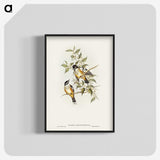2-65_John-Gould_blk-crop