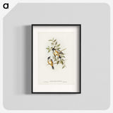 2-65_John-Gould_blk