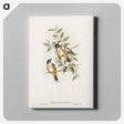 2-65_John-Gould_canvas