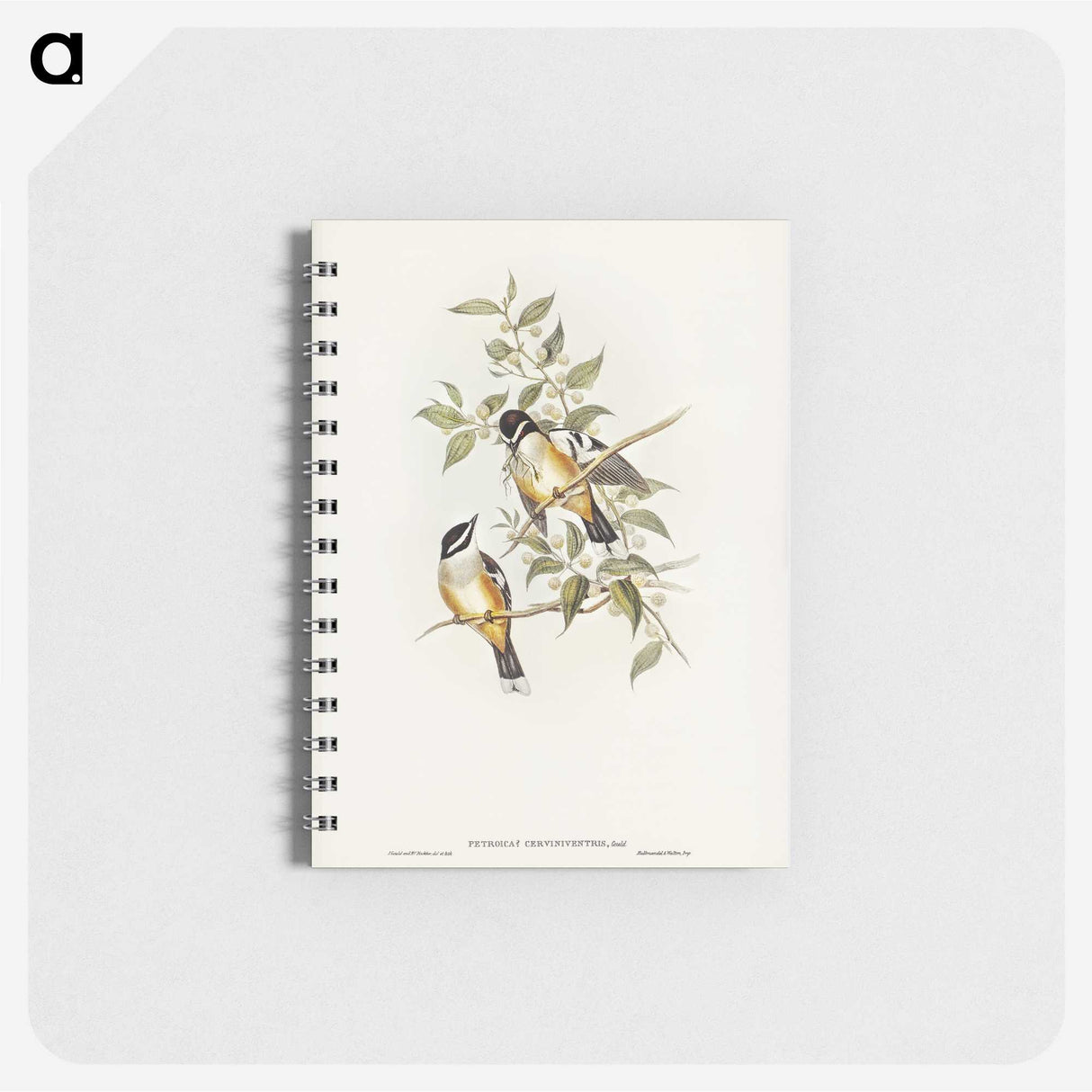 2-65_John-Gould_memo
