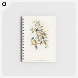 2-65_John-Gould_memo