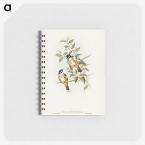 2-65_John-Gould_memo