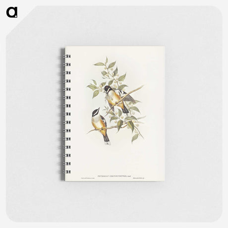 2-65_John-Gould_memo