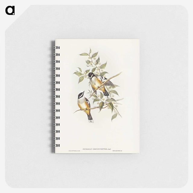 2-65_John-Gould_memo