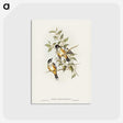 2-65_John-Gould_postcard