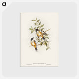 アートポストカード-Buff-sided Robin
 - ジョン グールド Postcard.