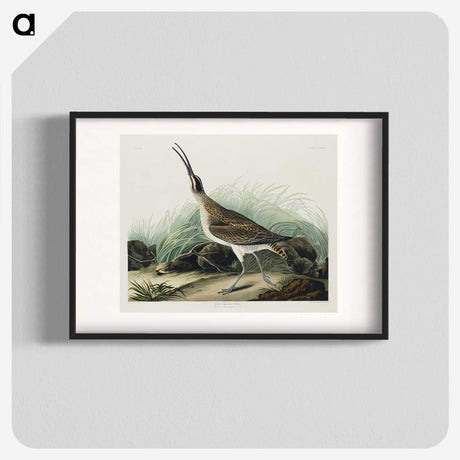 2-65_John-James-Audubon_blk