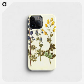 2-65_Maria-Sibylla-Merian_phone