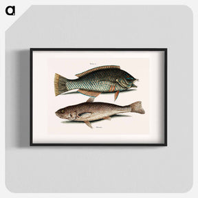 アートポスター-Puddingwife and Carolina Whiting
 - マーク ケイツビー Poster.