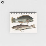2-65_Mark-Catesby_memo
