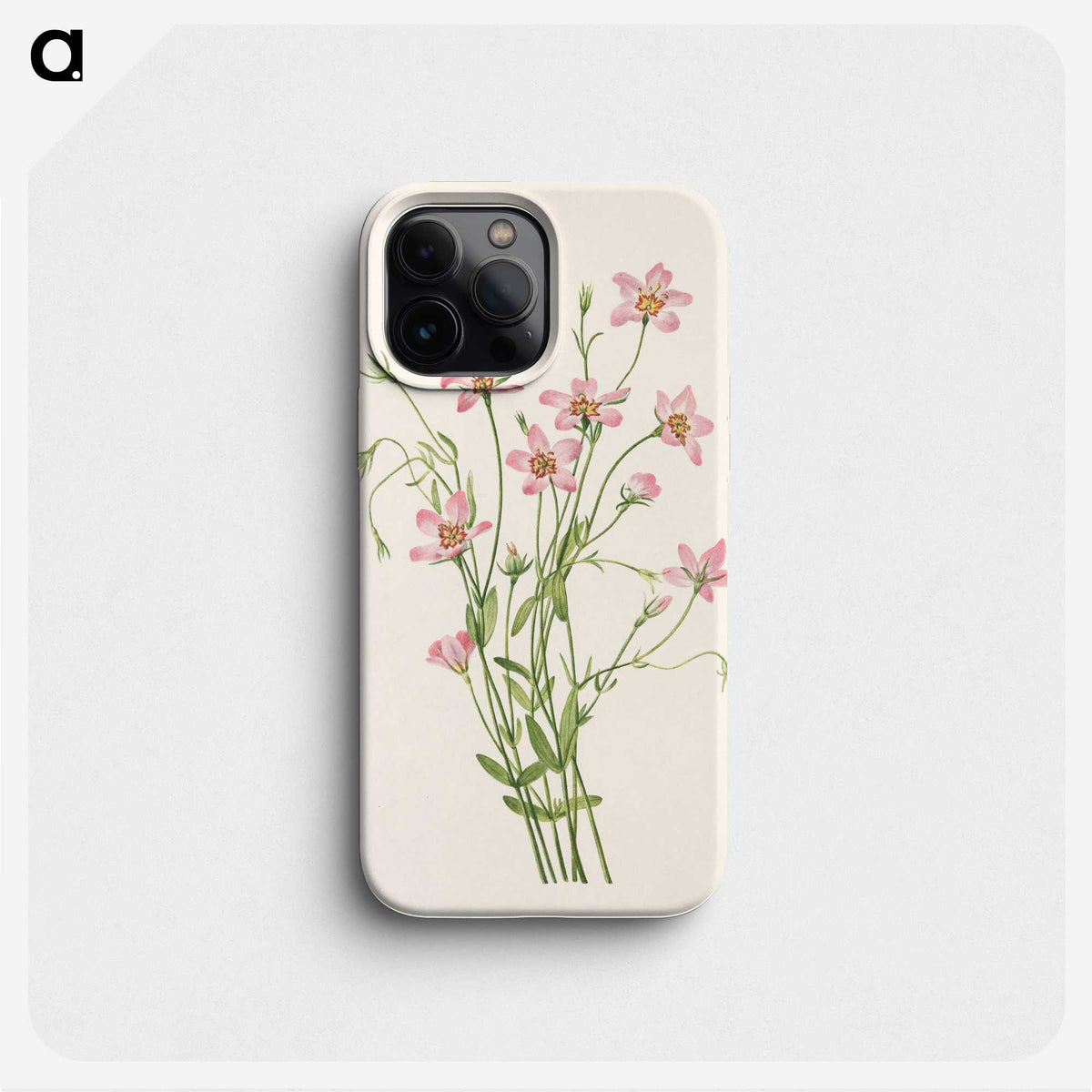 2-65_Mary-Vaux-Walcott_phone