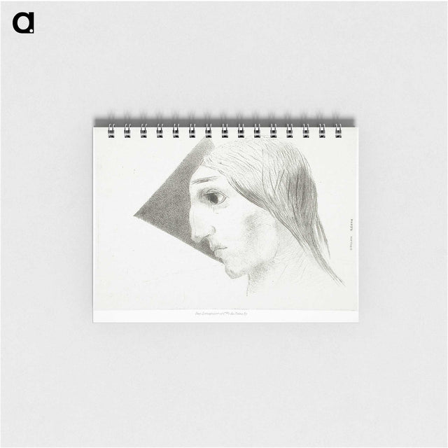 2-65_Odilon-Redon_memo