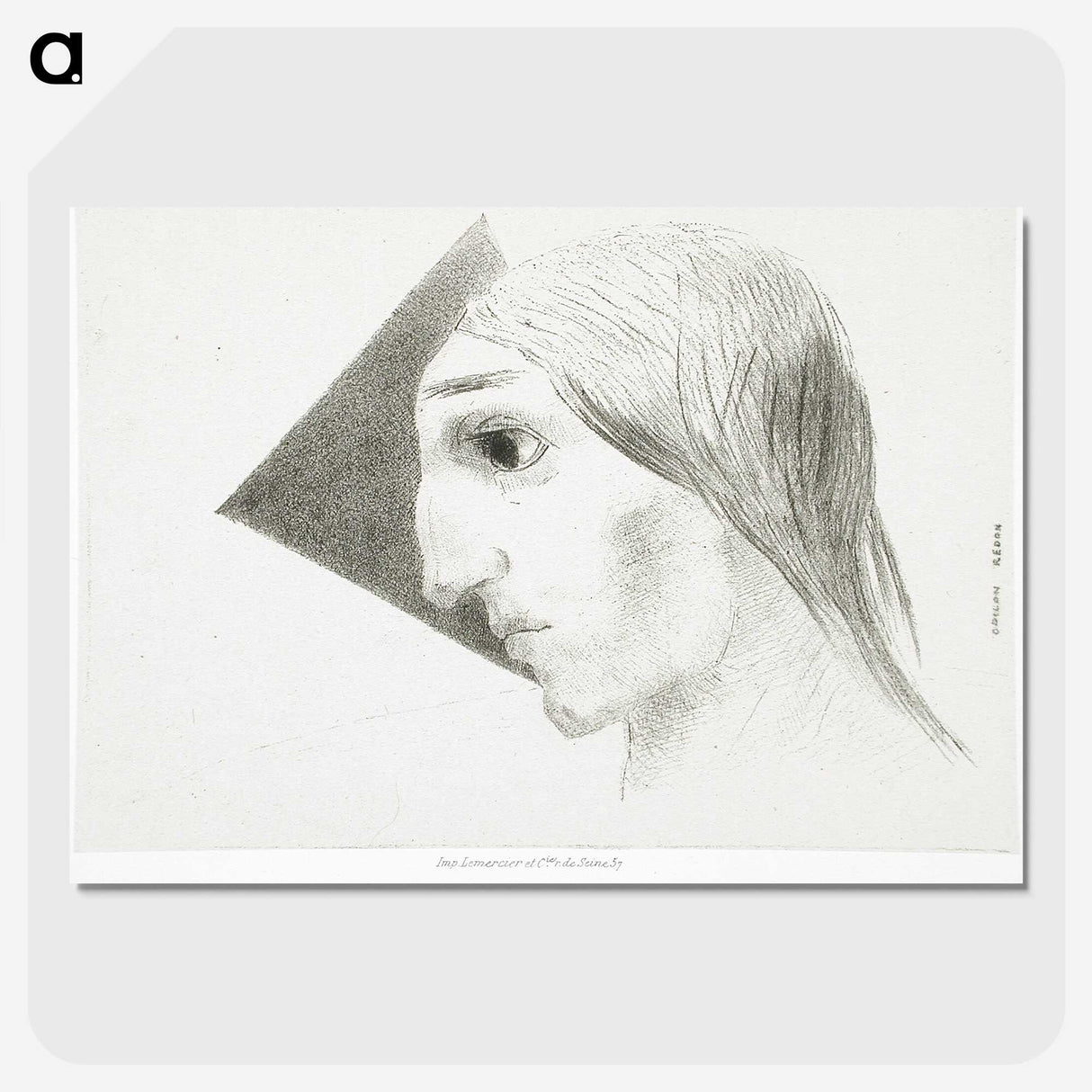 2-65_Odilon-Redon_picture-crop