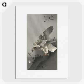 2-65_Ohara-Koson_picture