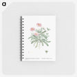 2-65_Pierre-Joseph-Redoute_memo