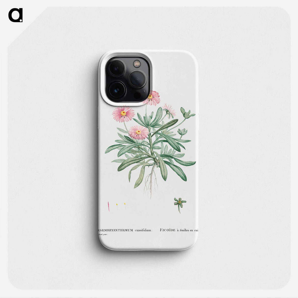 Mesembryanthemum Cuneifolium (Livingstone Daisy) - Pierre Joseph Redouté Phone Case.